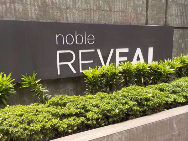 Picture of Noble Reveal