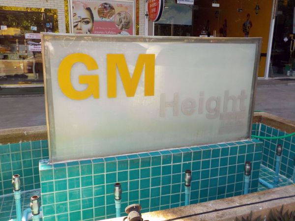 Picture of GM Height