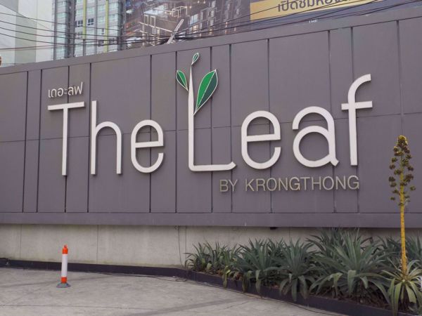 รูปภาพ The Leaf