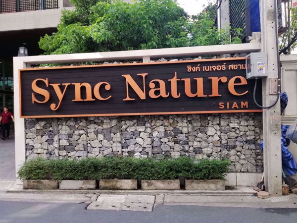 รูปภาพ Sync Nature Siam