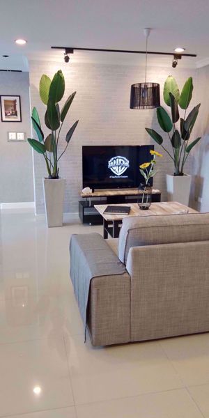 Picture of 2 bed Condo in Sukhumvit Casa Khlongtoei Sub District C0005389