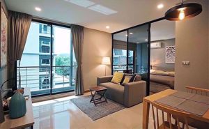 Picture of 1 bed Condo in Tree Condo Sukhumvit 50 Phra Khanong Sub District C012628