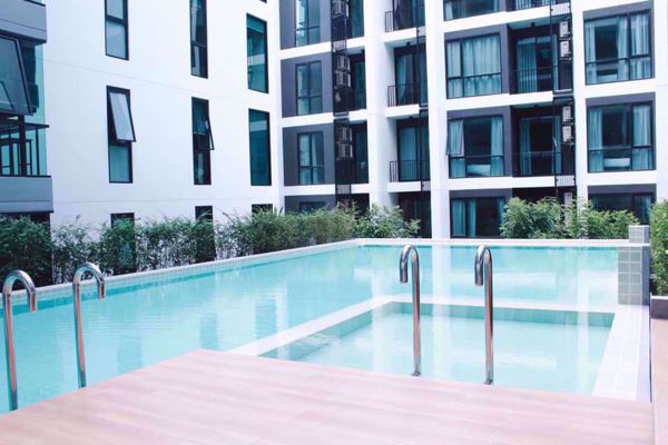 Picture of 1 bed Condo in Tree Condo Sukhumvit 50 Phra Khanong Sub District C012628