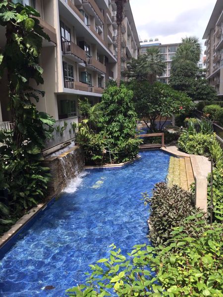 รูปภาพ 1 bed Condo in The Clover Watthana District C05639