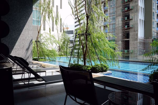 Picture of 1 bed Condo in Noble Revolve Ratchada Huai Khwang Sub District C05709