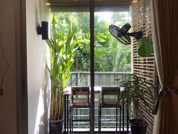 Picture of 1 bed Condo in Tree Condo Sukhumvit 42 Phra Khanong Sub District C05790