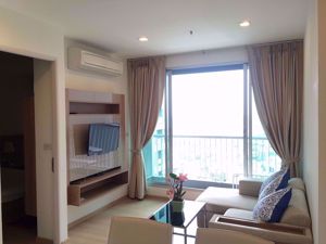 รูปภาพ 1 bed Condo in Rhythm Sukhumvit Phra Khanong Sub District C05822