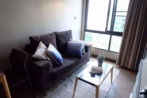 Picture of 1 bed Condo in Tidy Thonglor Watthana District C05832