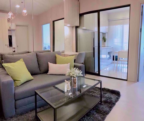 Picture of 1 bed Condo in Life Sukhumvit 48 Khlongtoei District C05865