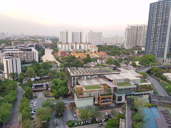 Picture of 1 bed Condo in The Base Park West Sukhumvit 77 Watthana District C05905