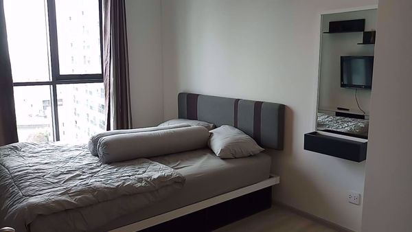 Picture of 1 bed Condo in Life Sukhumvit 48 Phra Khanong Sub District C05952