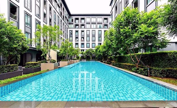 Picture of 1 bed Condo in The Reserve - Kasemsan 3 Wang Mai Sub District C05982