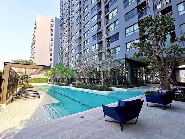 Picture of 1 bed Condo in Ideo Sukhumvit 93 Phrakhanong District C06010