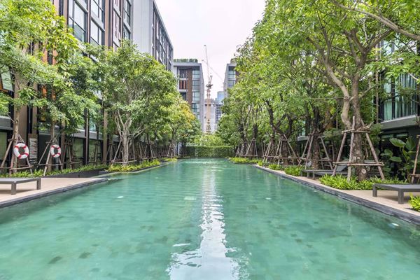 Picture of 1 bed Condo in Vtara Sukhumvit 36 Khlongtoei District C06030