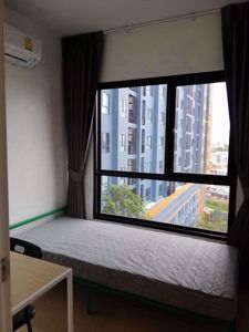 Picture of 2 bed Condo in The Tree Sukhumvit 71-Ekamai Suanluang District C06038