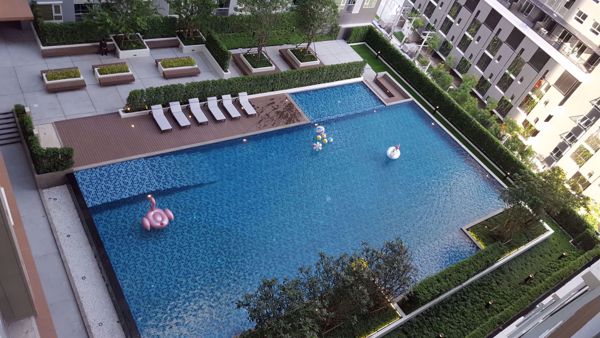 Picture of 2 bed Condo in Aspire Erawan Pak Nam Sub District C06085