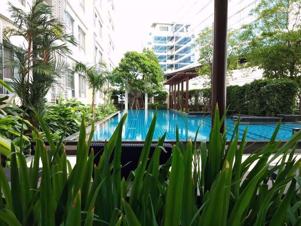 รูปภาพ 1 bed Condo in Condo One X Sukhumvit 26 Khlongtan Sub District C06177