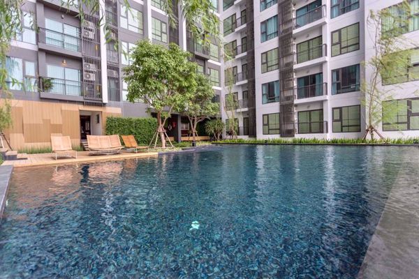 Picture of 1 bed Condo in Rhythm Sukhumvit 36-38 Phra Khanong Sub District C06330