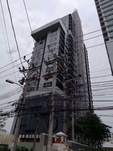 รูปภาพ The Vertical Aree