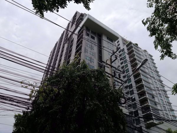 รูปภาพ The Vertical Aree