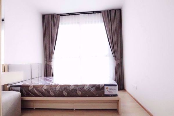 Picture of 2 bed Condo in IDEO O2 Bang Na Sub District C06335