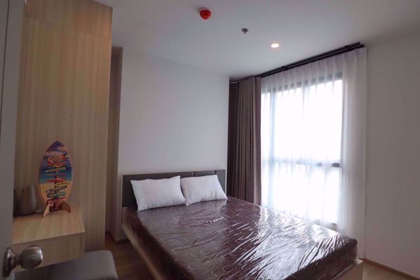 Picture of 2 bed Condo in IDEO O2 Bang Na Sub District C06335