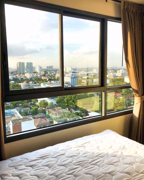 Picture of 1 bed Condo in Ideo Sukhumvit 93 Phrakhanong District C06500