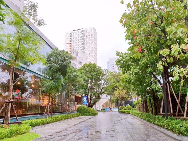 รูปภาพ 2 bed Condo in Park Origin Phromphong Khlongtan Sub District C06525