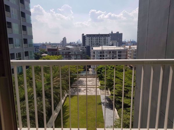 Picture of 1 bed Condo in Rhythm Sukhumvit Phra Khanong Sub District C06594