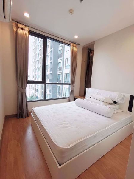 Picture of 2 bed Condo in Q House Condo Sukhumvit 79 Watthana District C06655