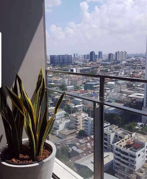 Picture of 1 bed Condo in 333 Riverside Bangsue Sub District C06669