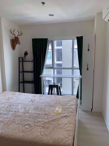 Picture of 1 bed Condo in Aspire Sukhumvit 48 Phra Khanong Sub District C06714