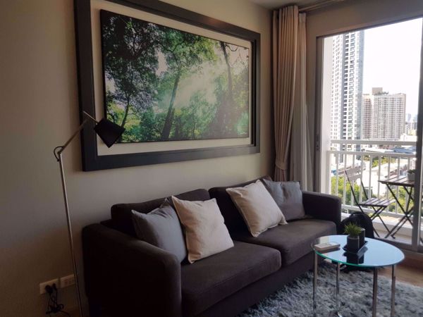 Picture of 1 bed Condo in Sukhumvit Plus Phra Khanong Sub District C06818