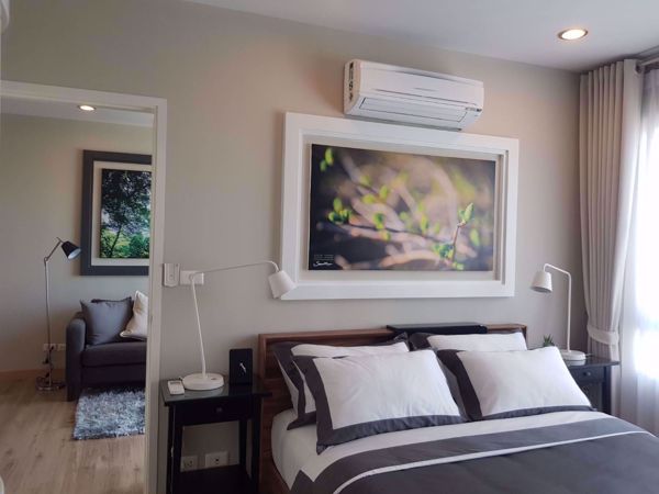 Picture of 1 bed Condo in Sukhumvit Plus Phra Khanong Sub District C06818