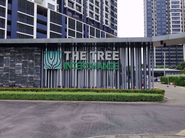 รูปภาพ The Tree Interchange