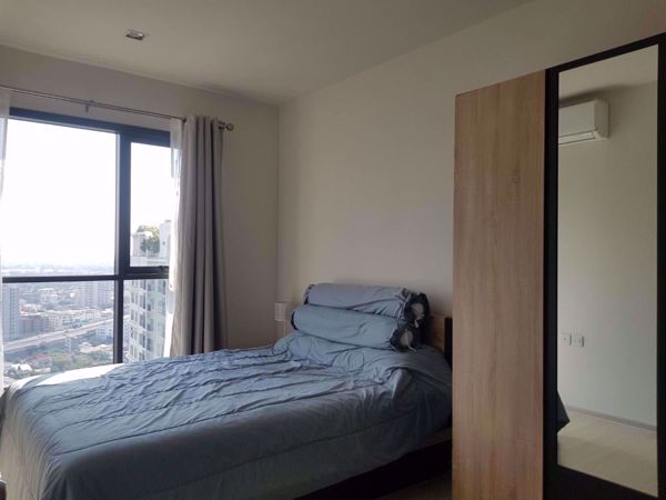 Picture of 1 bed Condo in Life Sukhumvit 48 Khlongtoei District C06911