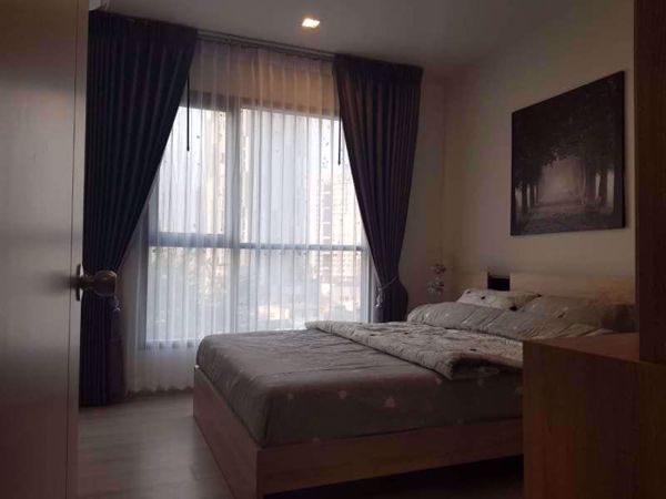 Picture of 1 bed Condo in Life Sukhumvit 48 Phra Khanong Sub District C07044