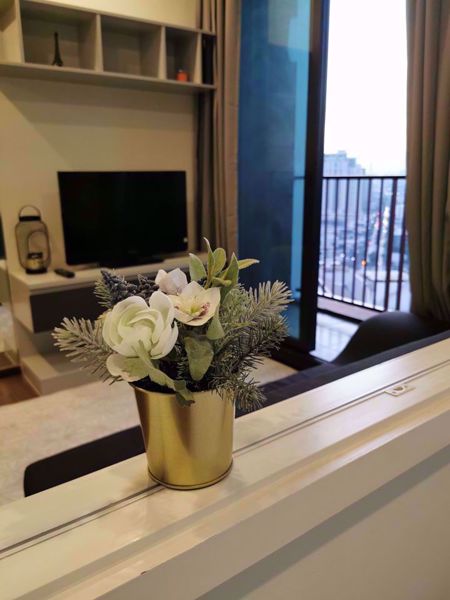 Picture of 1 bed Condo in WYNE Sukhumvit Phra Khanong Sub District C07218