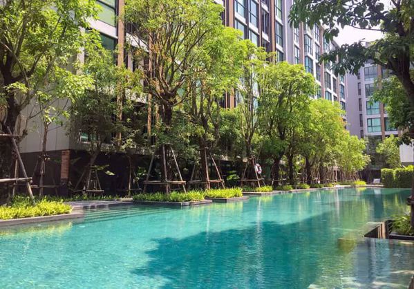 Picture of 1 bed Condo in Vtara Sukhumvit 36 Khlongtoei District C07246