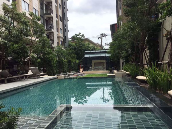 Picture of 1 bed Condo in The Nest Sukhumvit 22 Khlongtoei Sub District C07250