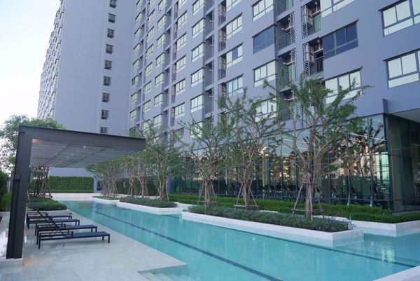 Picture of 1 bed Condo in Ideo Sukhumvit 93 Phrakhanong District C07312