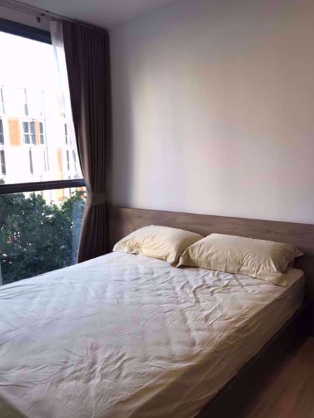 รูปภาพ 1 bed Condo in Taka Haus Ekamai 12 Watthana District C07365