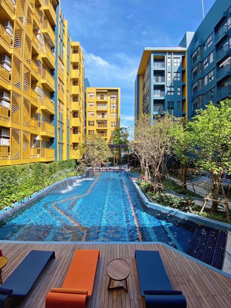 รูปภาพ 1 bed Condo in THE BASE Sukhumvit 50 Phra Khanong Sub District C07407