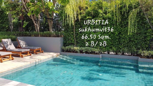 Picture of 2 bed Condo in Urbitia Thong Lo Phra Khanong Sub District C07494