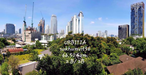 Picture of 2 bed Condo in Urbitia Thong Lo Phra Khanong Sub District C07494