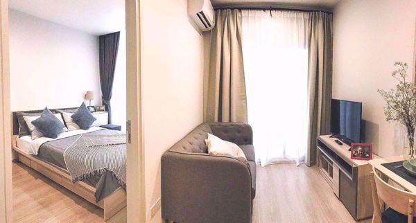 Picture of 1 bed Condo in Noble Revolve Ratchada 2 Huai Khwang Sub District C07778