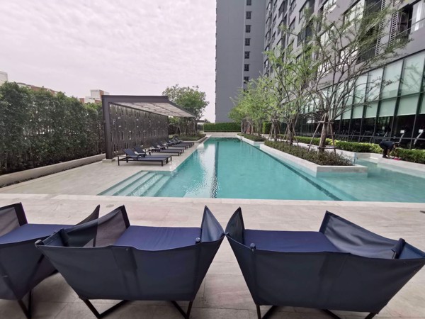 Picture of 1 bed Condo in Ideo Sukhumvit 93 Phrakhanong District C07861