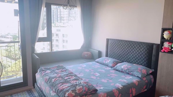 รูปภาพ Studio bed Condo in Rhythm Sukhumvit 36-38 Phra Khanong Sub District C07895