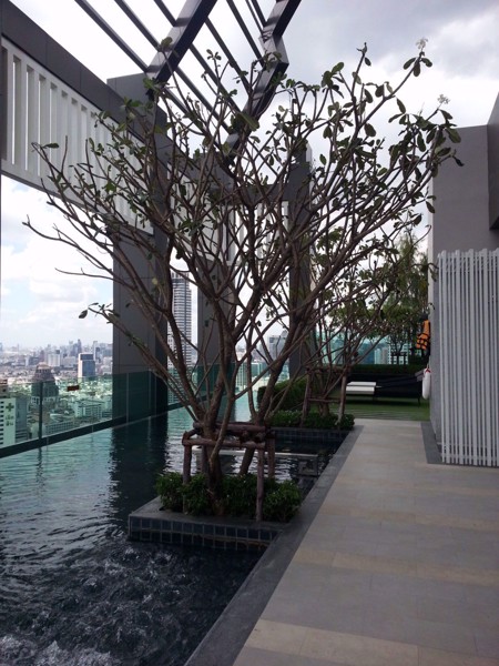 รูปภาพ 1 ห้องนอน Condo ในโครงการ Rhythm Sathorn Yan Nawa Sub District C08001