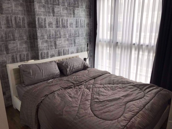 Picture of 1 bed Condo in WYNE Sukhumvit Watthana District C08069